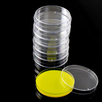 海斯迪克 HYSTIC 一次性塑料培养皿 圆形灭菌培养皿 HKLY-6 100010675007 90mm(20个)