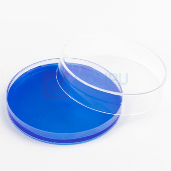 海斯迪克 HYSTIC 一次性塑料培养皿 圆形灭菌培养皿 HKLY-6 100010675007 90mm(20个)