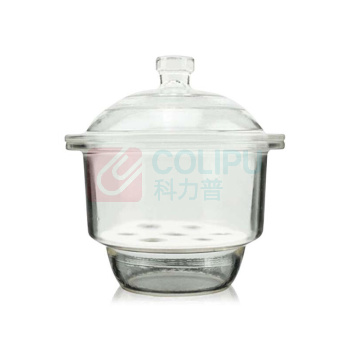 冰禹 BY-2444 玻璃干燥器附瓷板 物品除湿干燥皿 透明 240mm 100026497738