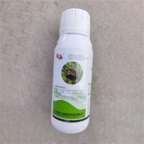 消洒 香芹酚可溶液剂 5% 500ml