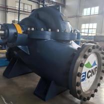 南方泵业 反冲洗泵机组 NSC300-250-19 卧式单级双吸泵
