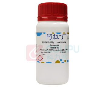 阿拉丁 aladdin 纳米级氧化铝 1344-28-1 ≥99.99% metals basis, 晶型γ,≤20nm 100g H102616