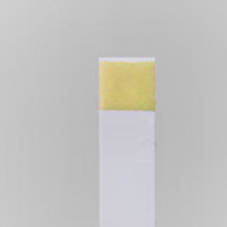 润博泰斯特 总铁检测试剂盒 0-500mg 二价铁-检测试纸
