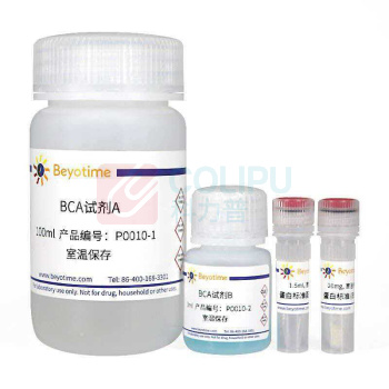 碧云天 BCA蛋白浓度测定试剂盒(增强型) P0010 500次
