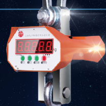 友声 电子吊秤行车吊磅 OCS-10T 10.0kg 加强稳定版 (黄色)