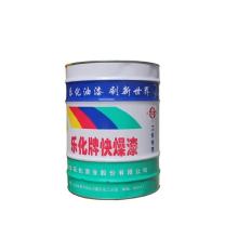 乐化 醇酸快燥磁漆 2kg 银粉漆