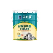 朵杉 耐候多功能外墙乳胶漆 5L (深灰)