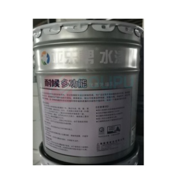 亚乐帮 银装耐候多功能 外墙乳胶漆 20kg (白色)