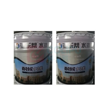 亚乐帮 银装耐候多功能 外墙乳胶漆 20kg (白色)
