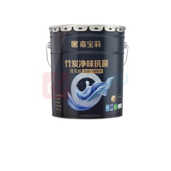 嘉宝莉 优天然竹炭净味抗菌5合1墙面漆 内墙乳胶漆 20KG (白色)