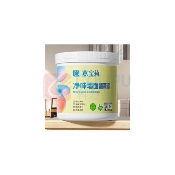 嘉宝莉 墙面翻新漆 白色1kg