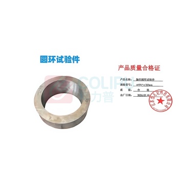 伽科 圆环试验件 CNP/AMXX/K210501/TS/0002 Φ976mm×Φ787mm