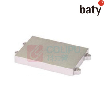 BATY 干式恒温器可更换模块-平底酶标板 99-4040-46 96×0.2ml