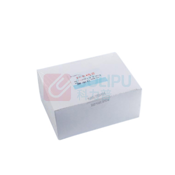 特瑞夫 TREFFLAB PCR管 96102263 0.2ml
