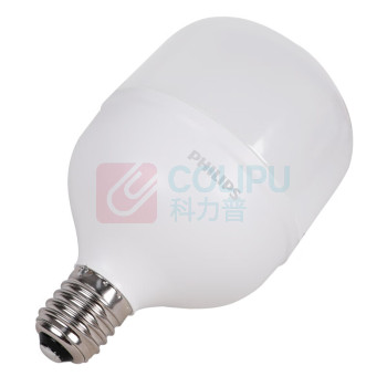 飞利浦 PHILIPS LED天棚中低型节能灯泡恒亮系列 T140 E27 螺口 50W 白光6500K