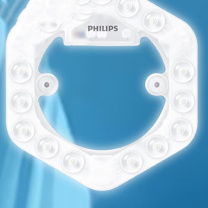飞利浦 PHILIPS 吸顶灯 20w 白光6500k (白色)