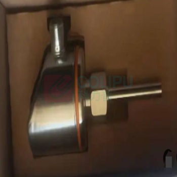 博林豪特 电磁流量计 SI5010
