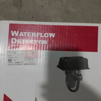 盛赛尔 水流指示器 ZSJZ 100-YM-1.2(WFD40)