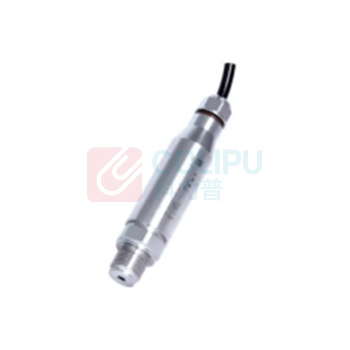 星仪 防水型压力变送器(默认4米连接线) CYYZ31A-13-A1-19-B-G5 G1/4外螺纹 2分