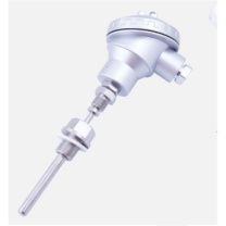 泰士特 温度传感器 F12Pt100-100-3220/F04 球形接线盒结构,B级精度,插入深度100mm,双电阻,材质:非磁性不锈钢,防护等级:IP68,线缆材质:铜镀银,测量范围:-40℃-180℃