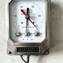 HX 温度指示控制器 BWY-803(TH) 0~100℃ 不含检测费用