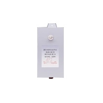 黎楚 路灯光控自动开关 GUK-82 40A 220V