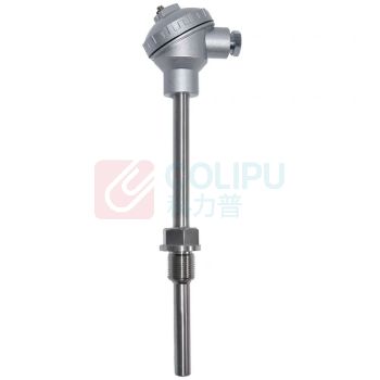 南派克 一体化温度变送器(含第三方效验证书) WZP-231