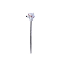 南派克 N型铠装热电偶 L:1000mm Φ:3mm(I级) 0-800度 不含检测报告