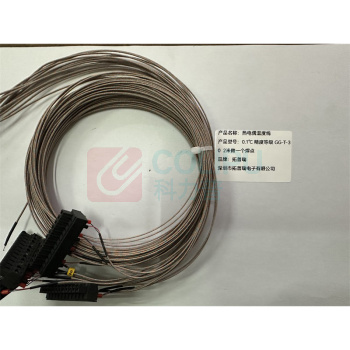 拓普瑞 热电偶温度线 0.1℃精度等级GG-T-30 2米做一个焊点