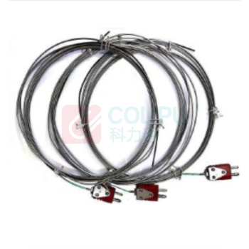 南派克 热电偶 DR-0.3s/3INC600/SI/500/900S (带证书)