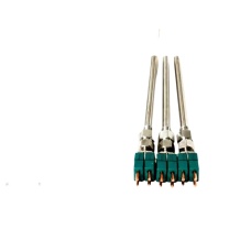 南派克 双芯热电偶 分度号S型/WRS2-130 φ6×750 带标准插头 I级 带CNAS资质国防标准证书