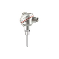 大工象 热电偶 WRP2 130型