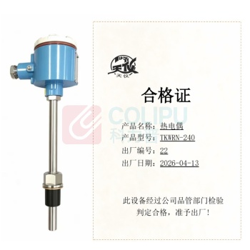天仪 热电偶 TKWRN-240