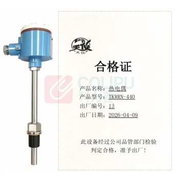 天仪 热电偶 TKWRN-440