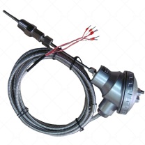 科威弘达 热电阻 WZP2-231 PT100 L=100 -200-450℃ 可伸缩