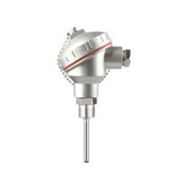 施耐德 Schneider 铠装热电阻 WZPBD300N470 PT100 0.16级 插深300mm 测量范围零下200~850℃