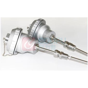 东河力华 热电阻 DHLH-30NPT