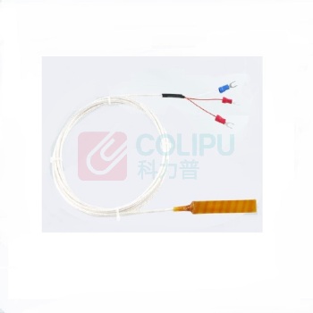 科威弘达 薄片式热电阻 WZPM2-002 L=2000mm