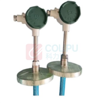 必亮春辉 热电阻 WZPN-440F Pt100 单芯 L=1500 整体直型 316+PTFE Φ16 PN16 DN40 防水型/铝合金 A级