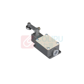 Telemecanique 技术供水泵行程开关 XCK-M IEC/EN 60947-5-1 AC240V 3A