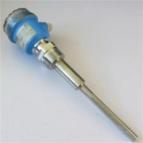 恩德斯豪斯 音叉物位计 FTM20-AG45A