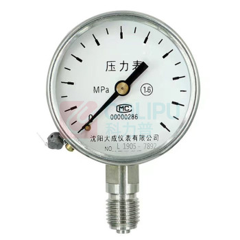 大成 压力表 0-2.5MPa 1.6级 Y-100 一个装 (本色)