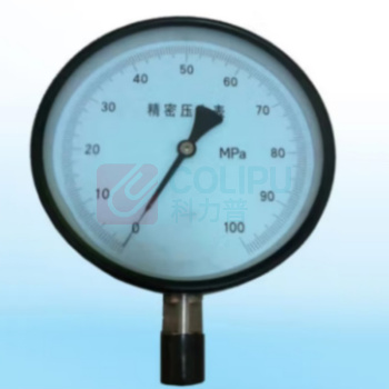TFN 压力表(不含检测报告) Y-100 0-6MPA 表盘直径100mm 量程0-6Mpa