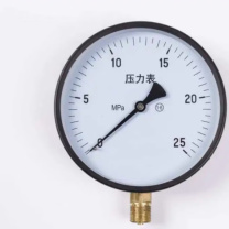 TFN 压力表(不含检测报告) Y60 2T 0-100bar 表盘直径:60mm