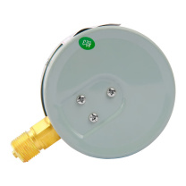 红旗 压力表 表盘直径100mm径向 Y-100 0-1.6Mpa