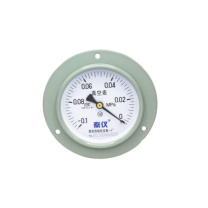 秦仪 压力表(不含检测报告) Y-100 0.-0.1MPam20*1.5