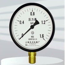 上海天川 真空表 Y100(-0.1-0MPa)螺纹 M20*0.5