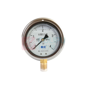 秦仪 100直径径向不锈钢充油型压力表定制 YTN-100BF /0MPa-4MPa