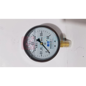秦仪 耐震压力表 YN-100 0-0.6MPa1.6级M20*1.5