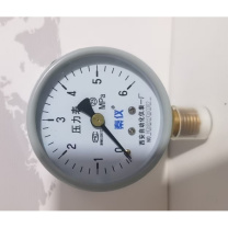 秦仪 压力表(不含检测报告) 0-6MPa Φ60,2.5,M14×1.5,径向无边